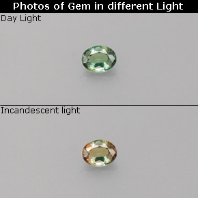 Alexandrita multicolorido natural 0,15ct, corte oval, VS
