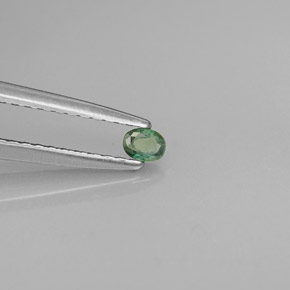 Alexandrita multicolorido natural 0,08ct, corte oval, VS
