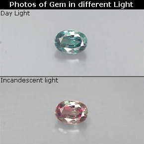 Alexandrite Verde/Vermelho Natural 0.12ct, Corte Oval, VS