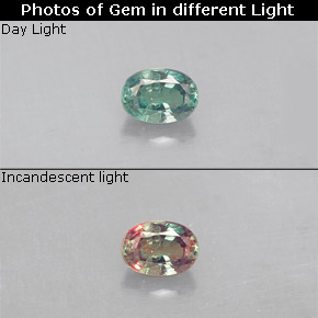 Alexandrite Verde/Vermelho Natural 0.14ct, Corte Oval, VS