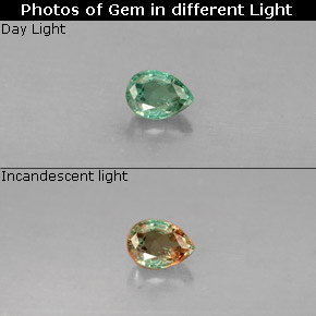 Alexandrita multicolorido natural 0,15ct, formato de pêra, VS