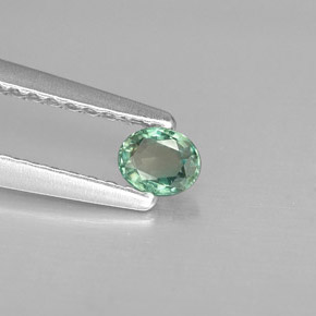 Alexandrita multicolorido natural 0,15ct, corte oval, VS