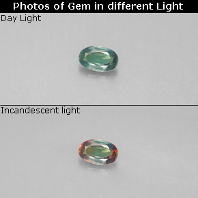Alexandrita multicolorido natural 0,10ct, corte oval, VS