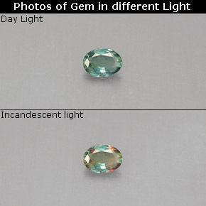 Alexandrite Verde/Vermelho Natural 0.09ct, Corte Oval, VS