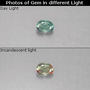 Alexandrita multicolorido natural 0,13ct, corte oval, VS