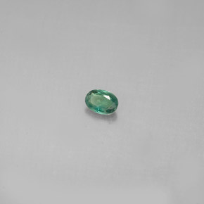 Alexandrita multicolorido natural 0,13ct, corte oval, VS