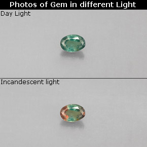 Alexandrite Verde/Vermelho Natural 0.07ct, Corte Oval, VS