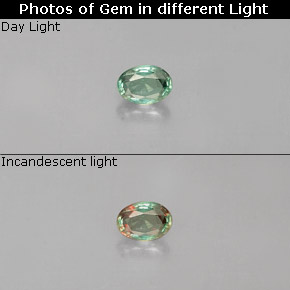Alexandrite Verde/Vermelho Natural 0.11ct, Corte Oval, VS