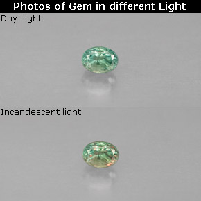 Alexandrita multicolorido natural 0,12ct, corte oval, VS