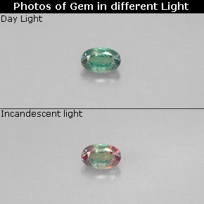 Alexandrita multicolorido natural 0,12ct, corte oval, VS