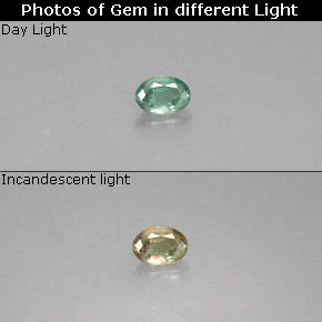 Alexandrita multicolorido natural 0,06ct, corte oval, VS