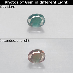 Alexandrita multicolorido natural 0,14ct, corte oval, VS