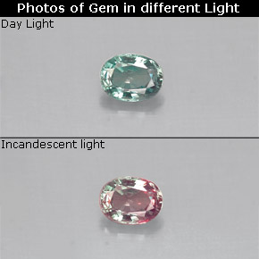 Alexandrita multicolorido natural 0,14ct, corte oval, VS