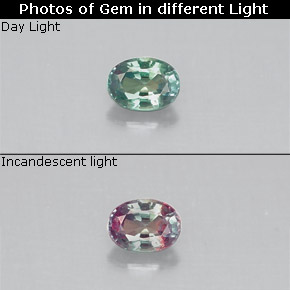 Alexandrita multicolorido natural 0,14ct, corte oval, VS