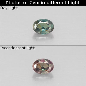 Alexandrita multicolorido natural 0,12ct, corte oval, VS