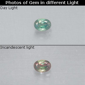 Alexandrite Verde/Vermelho Natural 0.08ct, Corte Oval, VS