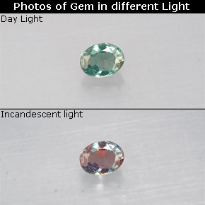 Alexandrite Verde/Vermelho Natural 0.09ct, Corte Oval, VS