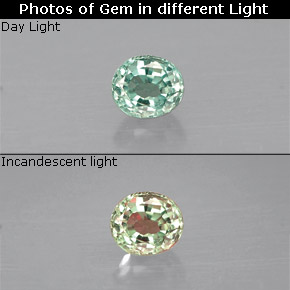 Alexandrita multicolorido natural 0,14ct, corte oval, VS