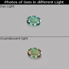 Alexandrita multicolorido natural 0,12ct, corte oval, VS