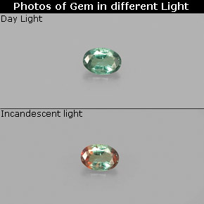 Alexandrite Verde/Vermelho Natural 0.08ct, Corte Oval, VS