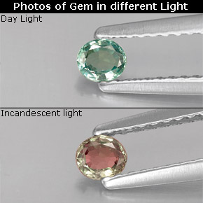 Alexandrite Verde/Vermelho Natural 0.15ct, Corte Oval, VS