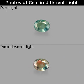 Alexandrita multicolorido natural 0,12ct, corte oval, VS