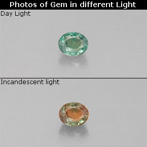 Alexandrita multicolorido natural 0,06ct, corte oval, VVS-VS