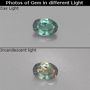 Alexandrita multicolorido natural 0,13ct, corte oval, VS
