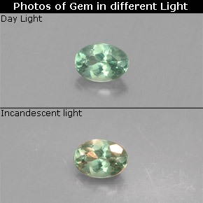 Alexandrita multicolorido natural 0,12ct, corte oval, VS