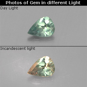 Alexandrita multicolorido natural 0,13ct, formato de pêra, VS