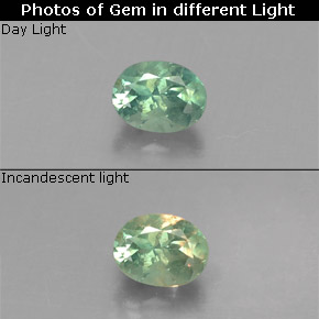 Alexandrita multicolorido natural 0,20ct, corte oval, VS