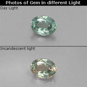 Alexandrita multicolorido natural 0,15ct, corte oval, VS