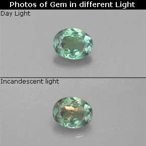 Alexandrita multicolorido natural 0,13ct, corte oval, VS