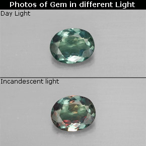 Alexandrite Verde/Vermelho Natural 0.29ct, Corte Oval, VS