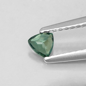 Alexandrite Verde/Vermelho Natural 0.17ct, Trilhão, VS