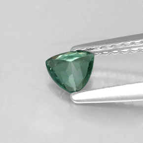 Alexandrita multicolorido natural 0,24ct, trillion, VS