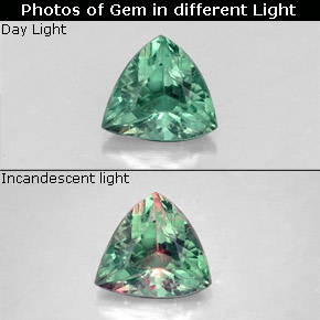 Alexandrite Verde/Vermelho Natural 0.24ct, Trilhão, VS