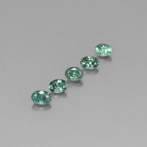 Pedras preciosas de alexandrita multicolorido natural de  ct, corte oval, VS