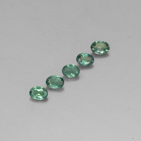 Pedras preciosas de alexandrita multicolorido natural de  ct, corte oval, VS