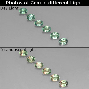 Pedras preciosas de Alexandrite Verde/Vermelho natural de  ct, Corte Oval, VS