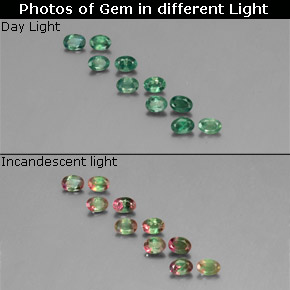 Pedras preciosas de Alexandrite Verde/Vermelho natural de  ct, Corte Oval, VS