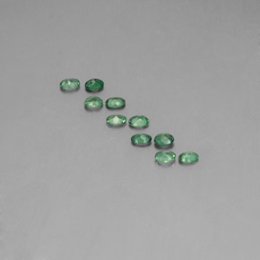 Pedras preciosas de alexandrita multicolorido natural de  ct, corte oval, VS
