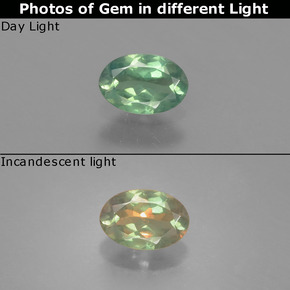 Alexandrite Verde/Vermelho Natural 0.46ct, Corte Oval, VS