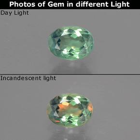 Alexandrite Verde/Vermelho Natural 0.55ct, Corte Oval, VS