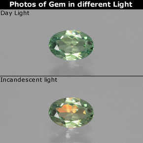 Alexandrita multicolorido natural 0,48ct, corte oval, VS