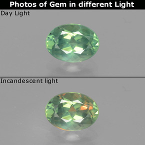 Alexandrita multicolorido natural 0,98ct, corte oval, VS