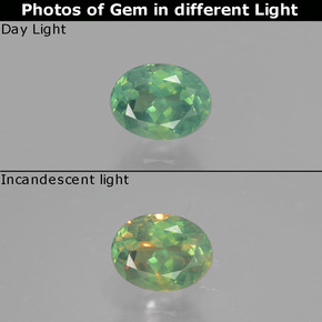 Alexandrite Verde/Vermelho Natural 0.51ct, Corte Oval, VS