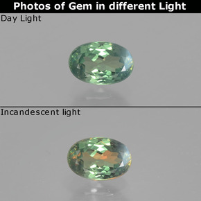 Alexandrita multicolorido natural 0,65ct, corte oval, VS