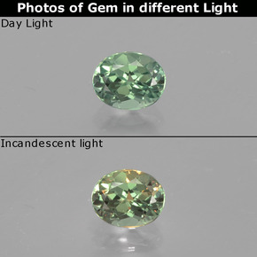 Alexandrita multicolorido natural 0,48ct, corte oval, VVS-VS