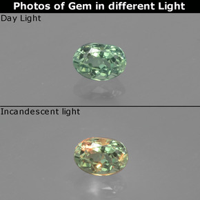 Alexandrita multicolorido natural 0,23ct, corte oval, VS